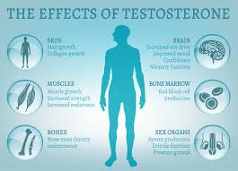 What Is Low Testosterone? Symptoms, Causes, Diagnosis, Treatment, and Prevention